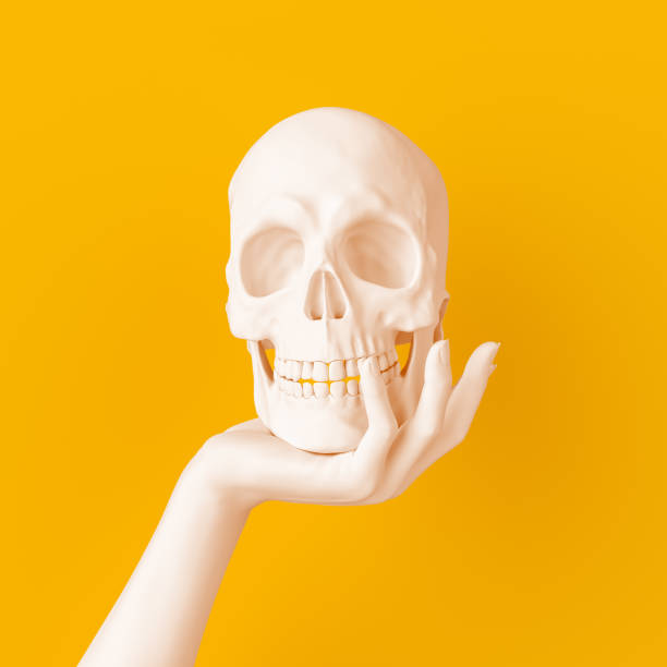 Où trouver des statues de crâne ?